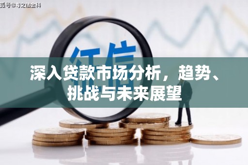 河东深入贷款市场分析，趋势、挑战与未来展望