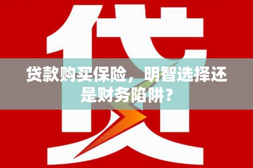 河东贷款购买保险，明智选择还是财务陷阱？