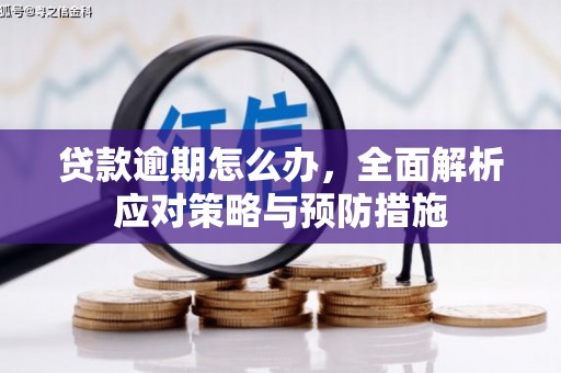 河东贷款逾期怎么办，全面解析应对策略与预防措施