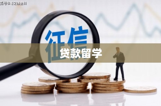 河东贷款留学