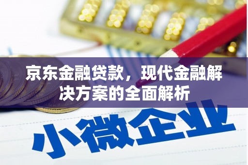 河东京东金融贷款，现代金融解决方案的全面解析