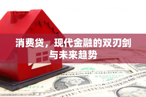 河东消费贷，现代金融的双刃剑与未来趋势