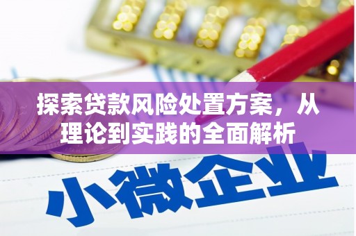 河东探索贷款风险处置方案，从理论到实践的全面解析