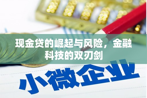 河东现金贷的崛起与风险，金融科技的双刃剑