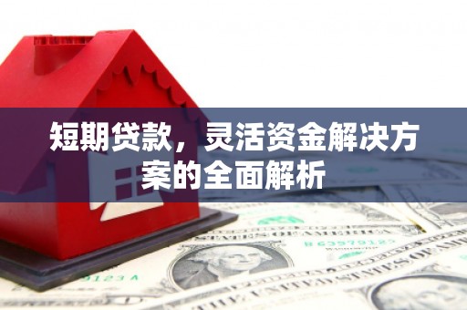 河东短期贷款，灵活资金解决方案的全面解析