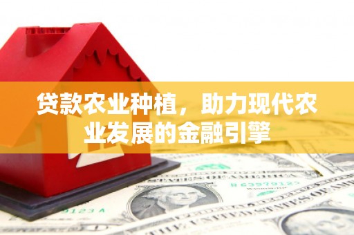 河东贷款农业种植，助力现代农业发展的金融引擎