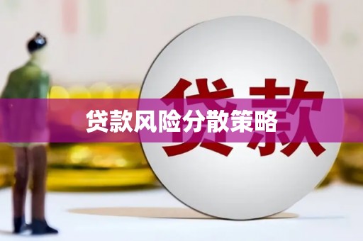 河东贷款风险分散策略