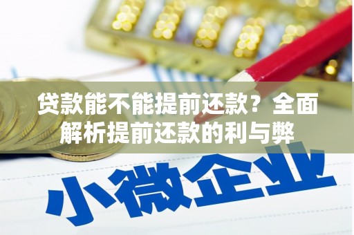 河东贷款能不能提前还款？全面解析提前还款的利与弊