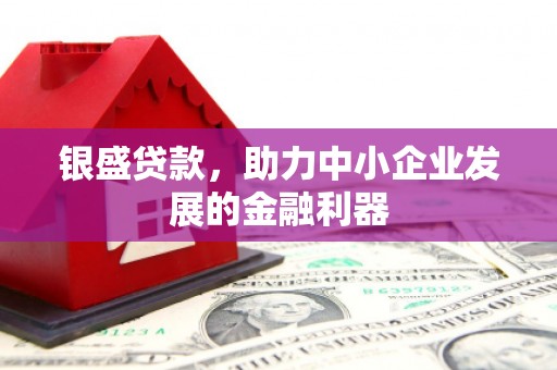 河东银盛贷款，助力中小企业发展的金融利器