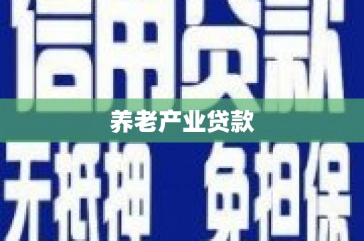 河东养老产业贷款