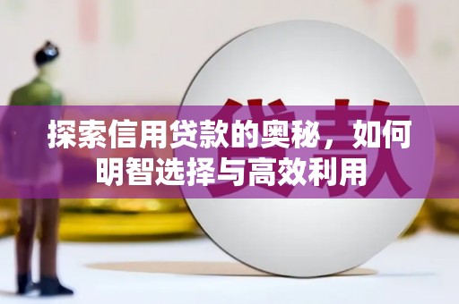 河东探索信用贷款的奥秘，如何明智选择与高效利用