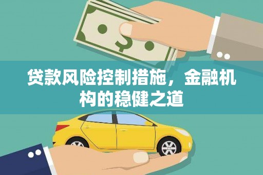 河东贷款风险控制措施，金融机构的稳健之道