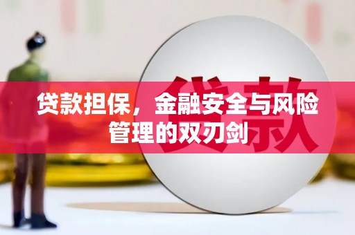 河东贷款担保，金融安全与风险管理的双刃剑