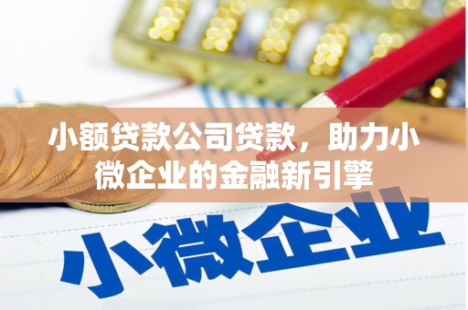 河东小额贷款公司贷款，助力小微企业的金融新引擎