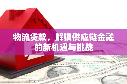 河东物流贷款，解锁供应链金融的新机遇与挑战