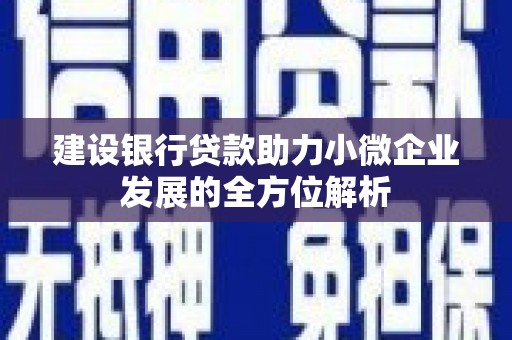 河东建设银行贷款助力小微企业发展的全方位解析
