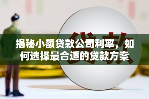 河东揭秘小额贷款公司利率，如何选择最合适的贷款方案
