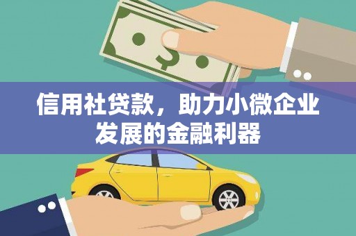 河东信用社贷款，助力小微企业发展的金融利器