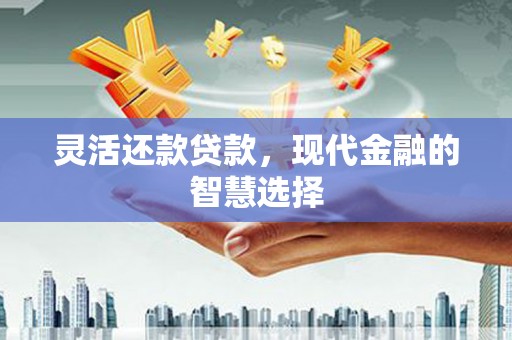 河东灵活还款贷款，现代金融的智慧选择