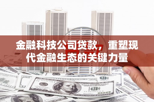 河东金融科技公司贷款，重塑现代金融生态的关键力量