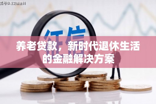 河东养老贷款，新时代退休生活的金融解决方案