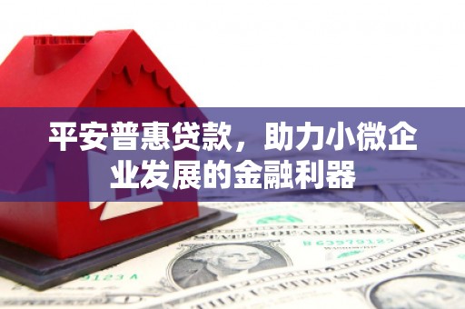 河东平安普惠贷款，助力小微企业发展的金融利器