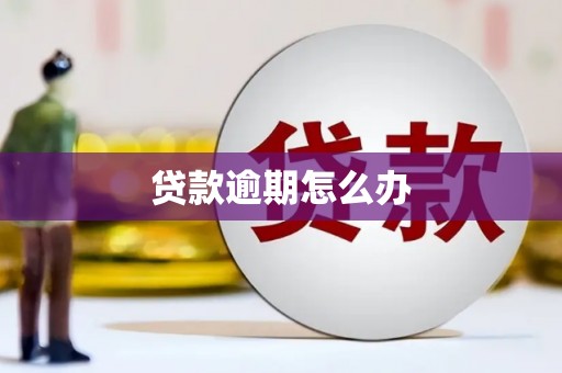 河东贷款逾期怎么办