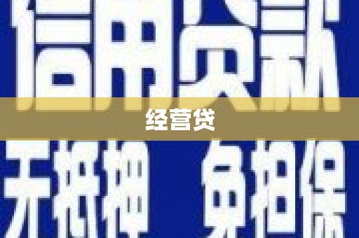 河东经营贷