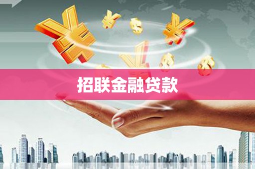 河东招联金融贷款