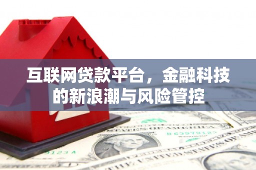 河东互联网贷款平台，金融科技的新浪潮与风险管控
