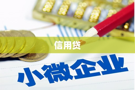 河东信用贷
