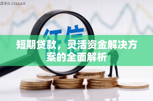 河东短期贷款，灵活资金解决方案的全面解析