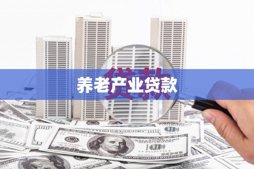 河东养老产业贷款