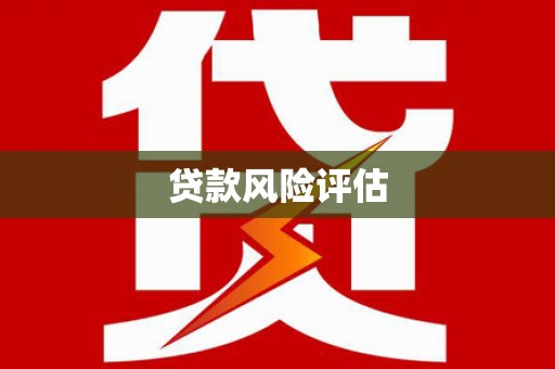 河东贷款风险评估
