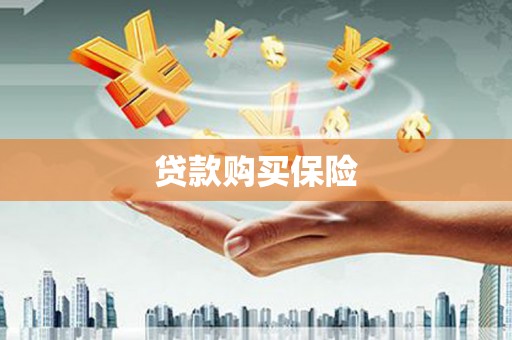 河东贷款购买保险
