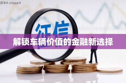 河东解锁车辆价值的金融新选择