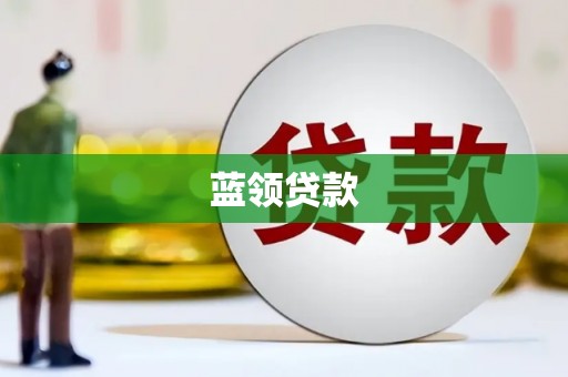 河东蓝领贷款