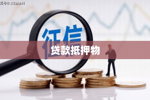 河东贷款抵押物
