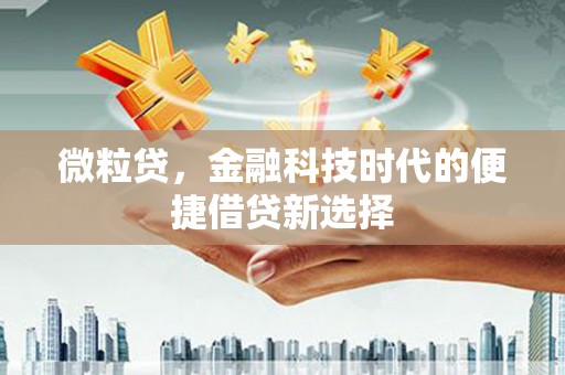 河东微粒贷，金融科技时代的便捷借贷新选择