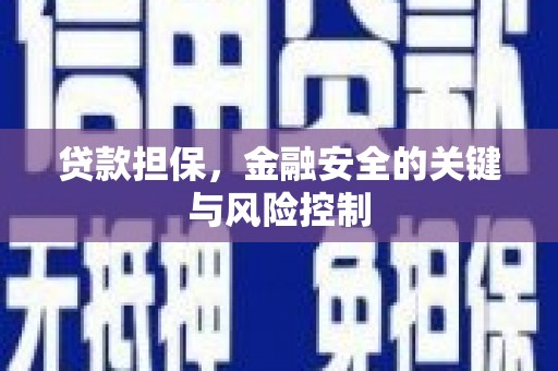 河东贷款担保，金融安全的关键与风险控制