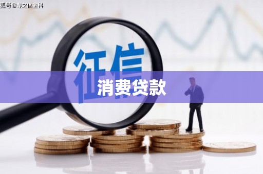 河东消费贷款