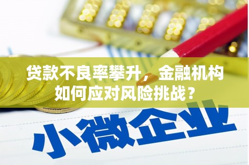 河东贷款不良率攀升，金融机构如何应对风险挑战？
