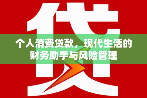 河东个人消费贷款，现代生活的财务助手与风险管理