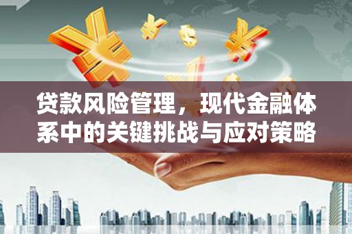 河东贷款风险管理，现代金融体系中的关键挑战与应对策略