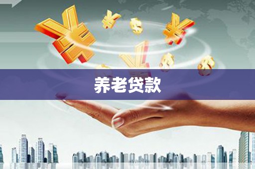 河东养老贷款