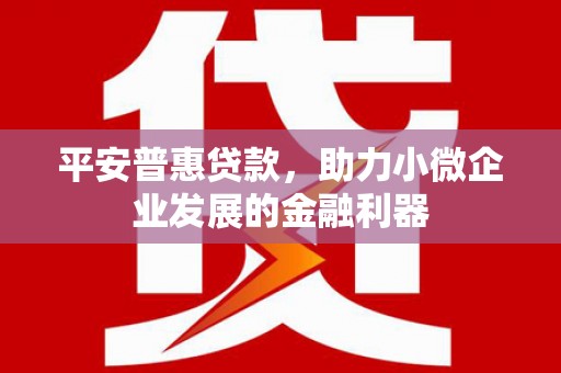 河东平安普惠贷款，助力小微企业发展的金融利器