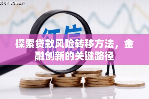 河东探索贷款风险转移方法，金融创新的关键路径