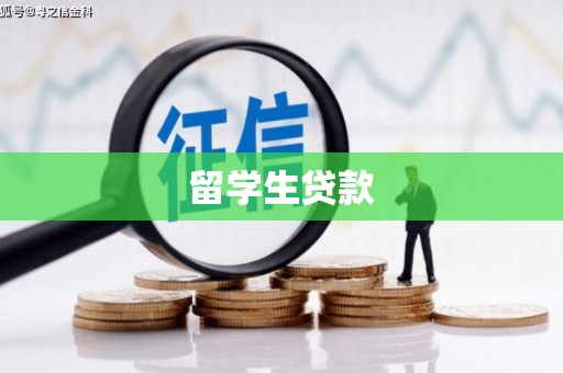 河东留学生贷款