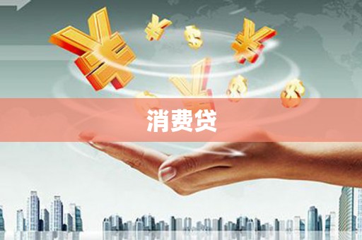 河东消费贷