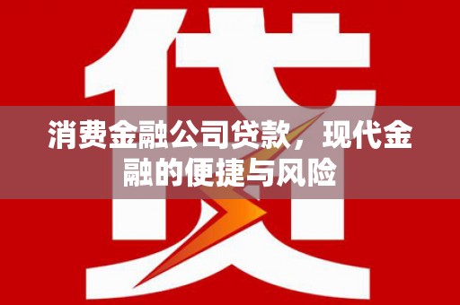 河东消费金融公司贷款，现代金融的便捷与风险
